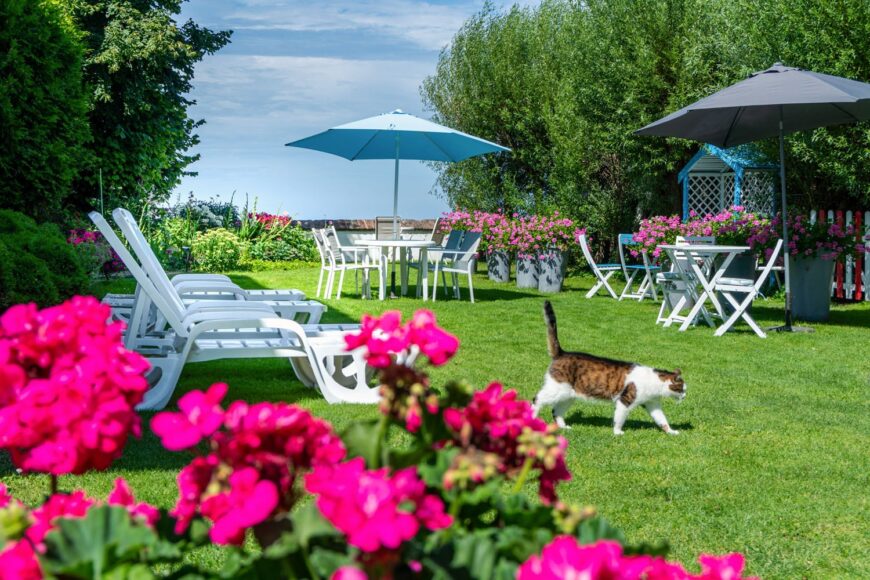  Dsc9873willa Anna Maria Sarbinowo Nad Smamym Morzem